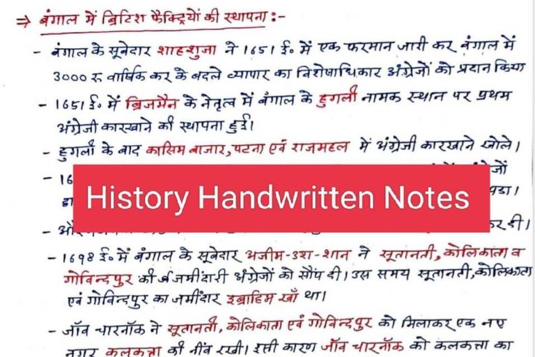 NCERT History Handwritten Notes In Hindi PDF
