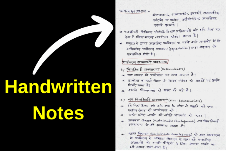 Vision IAS Environment Handwritten Notes In Hindi